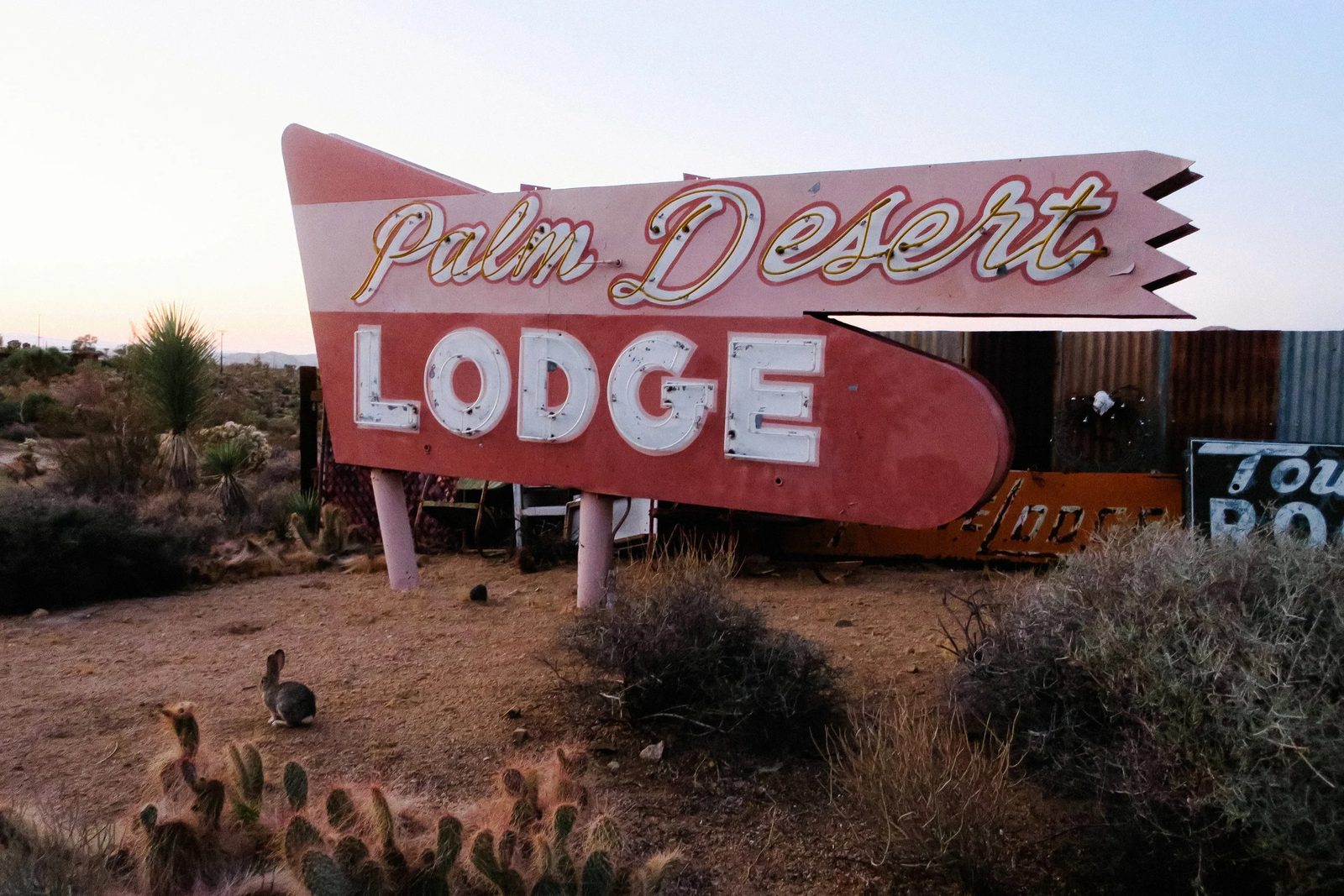 Joshua Tree — photo 37