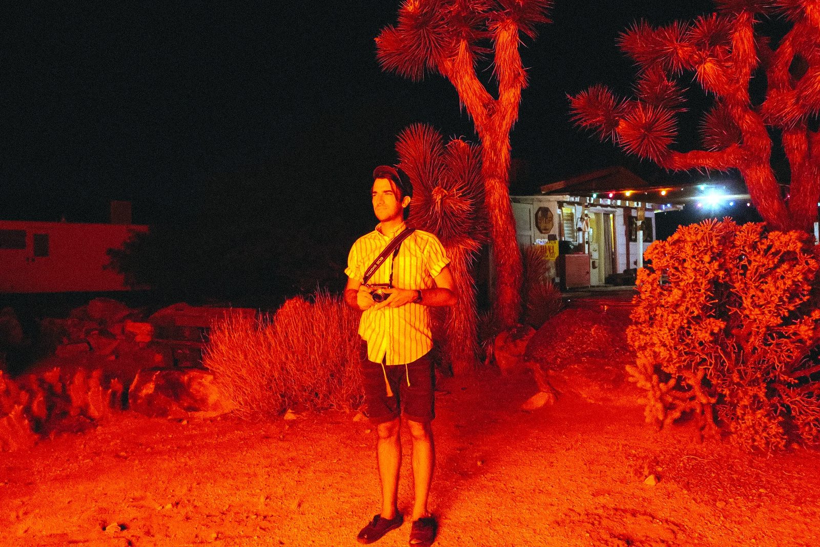Joshua Tree — photo 49