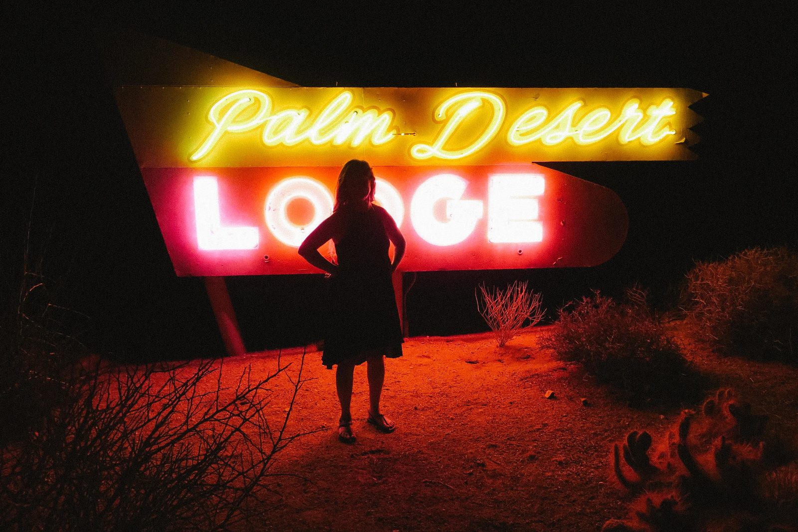 Joshua Tree — photo 43
