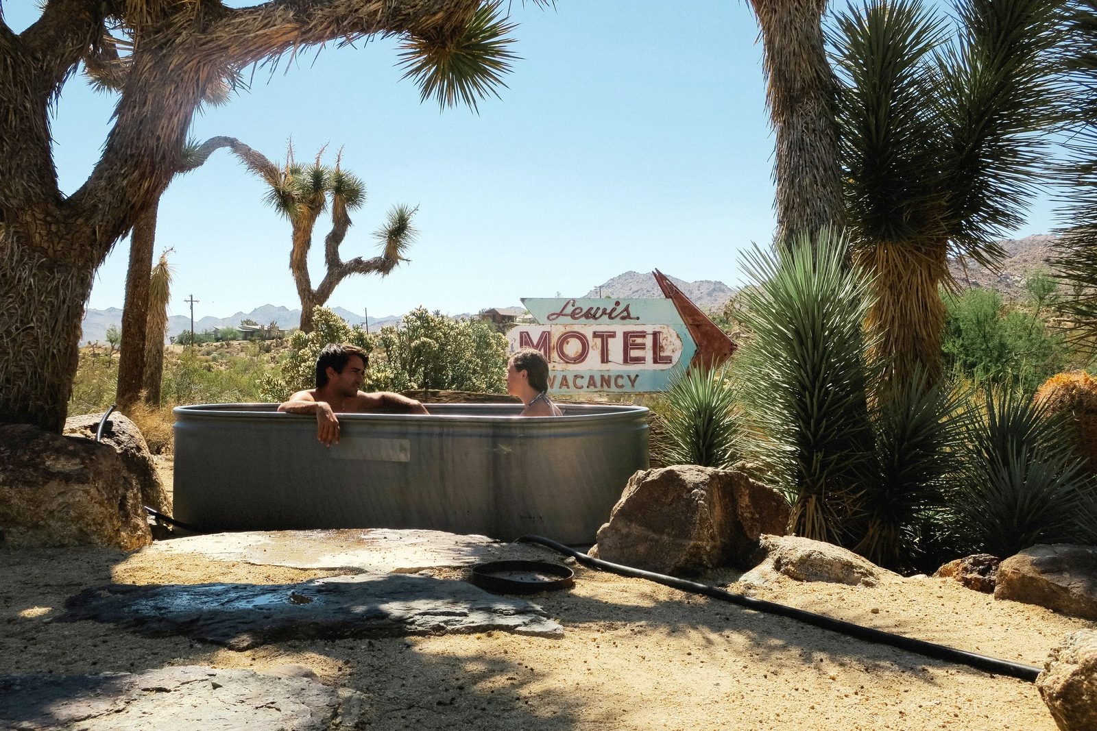 Joshua Tree — photo 29