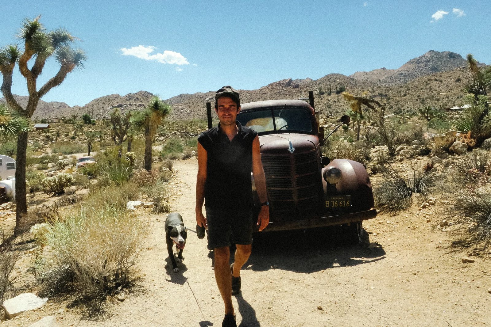 Joshua Tree — photo 36