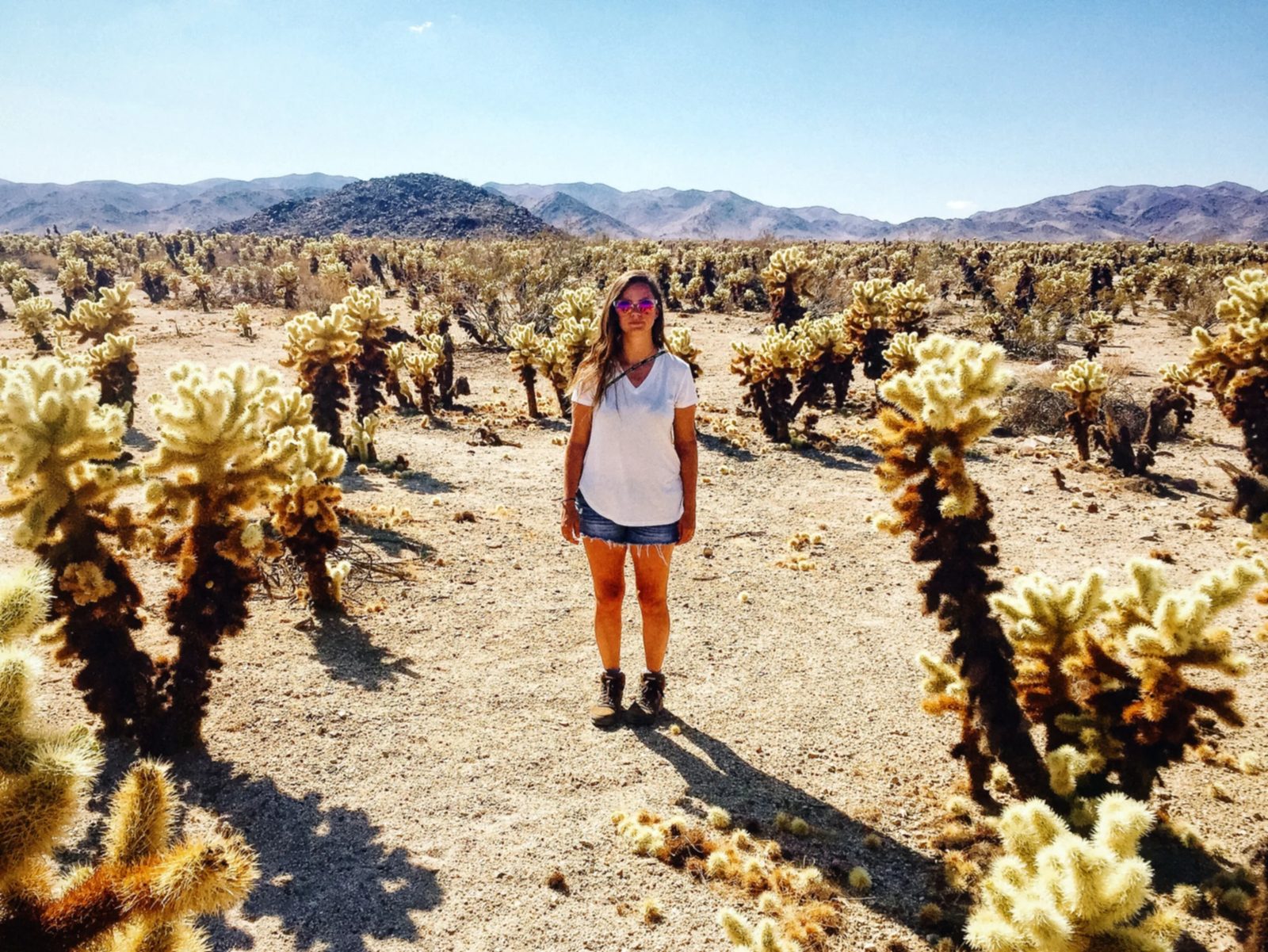 Joshua Tree — photo 15