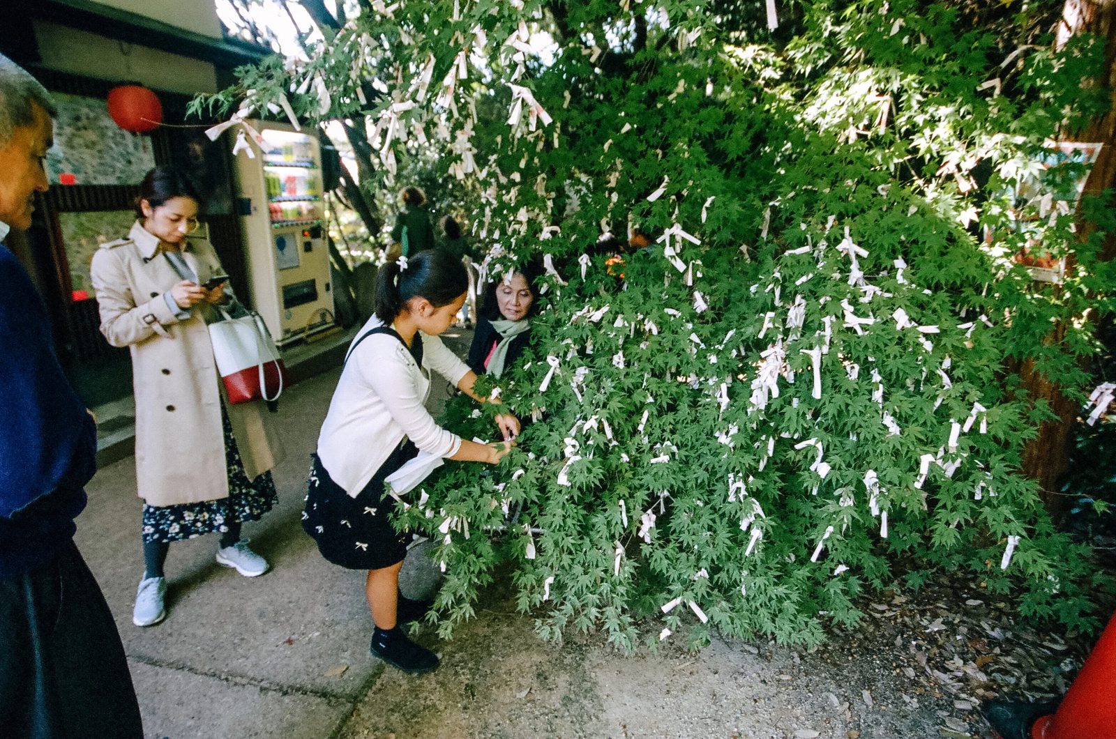 Kyoto — photo 19