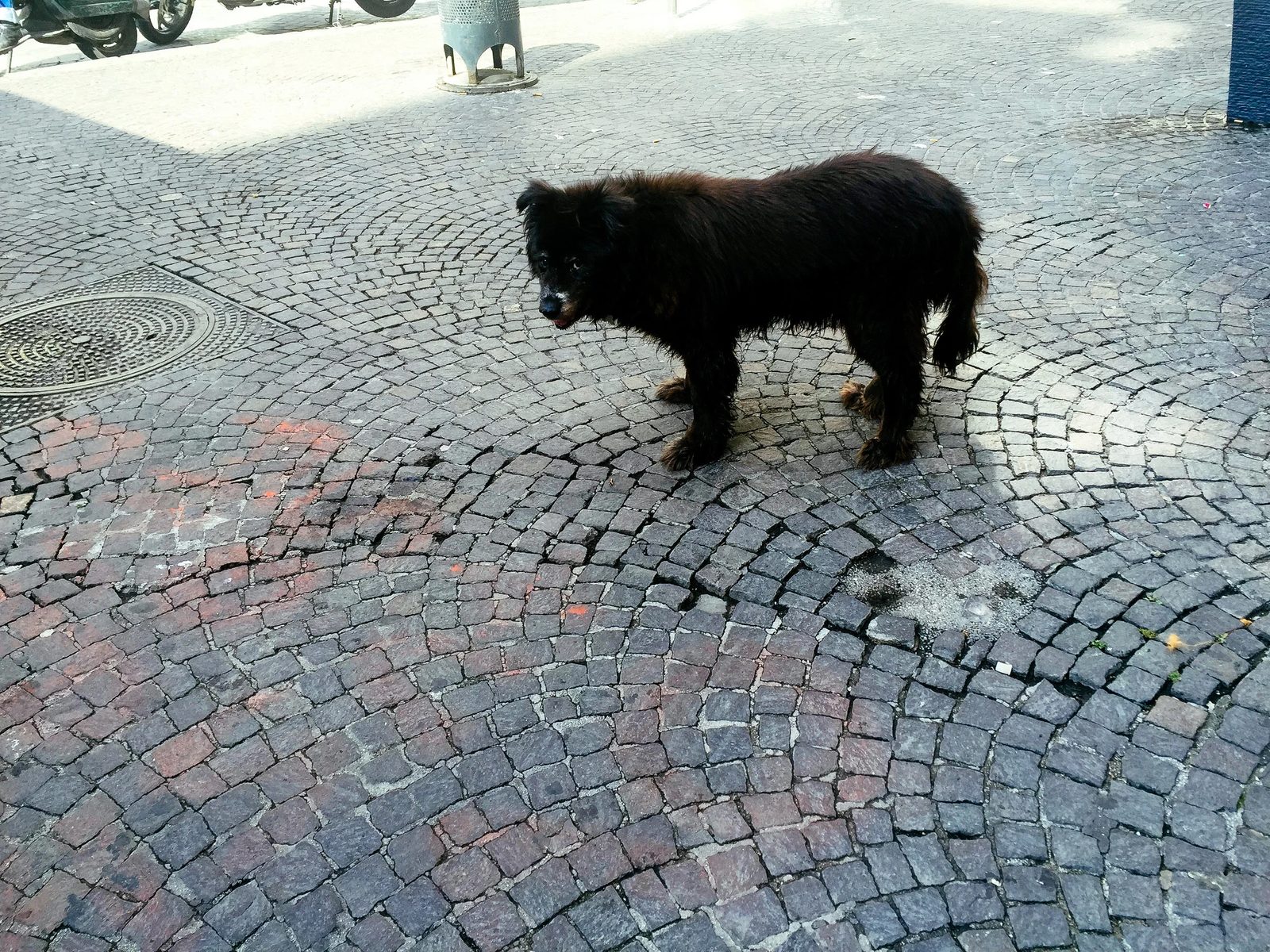 Naples — photo 3