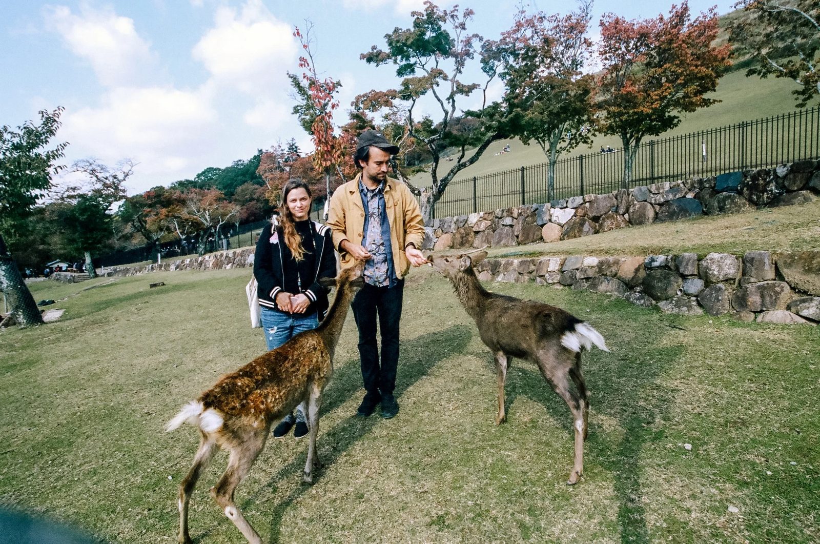 Nara — photo 3
