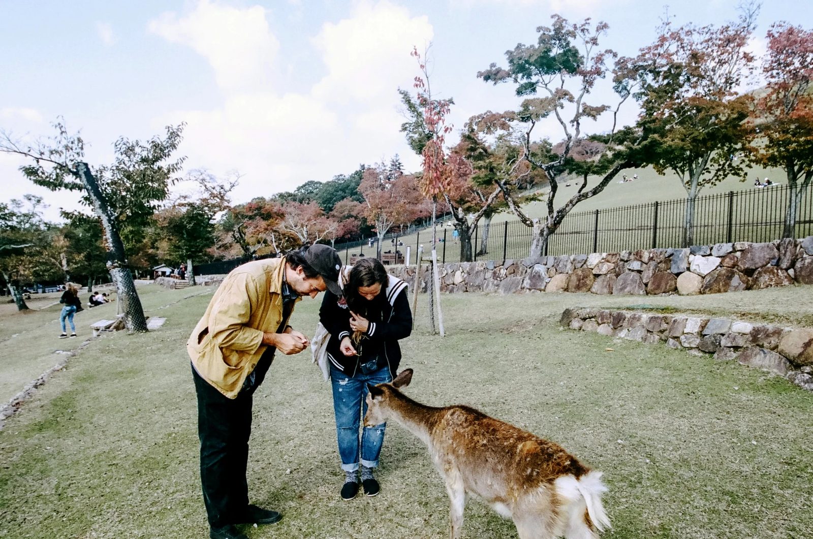 Nara — photo 4