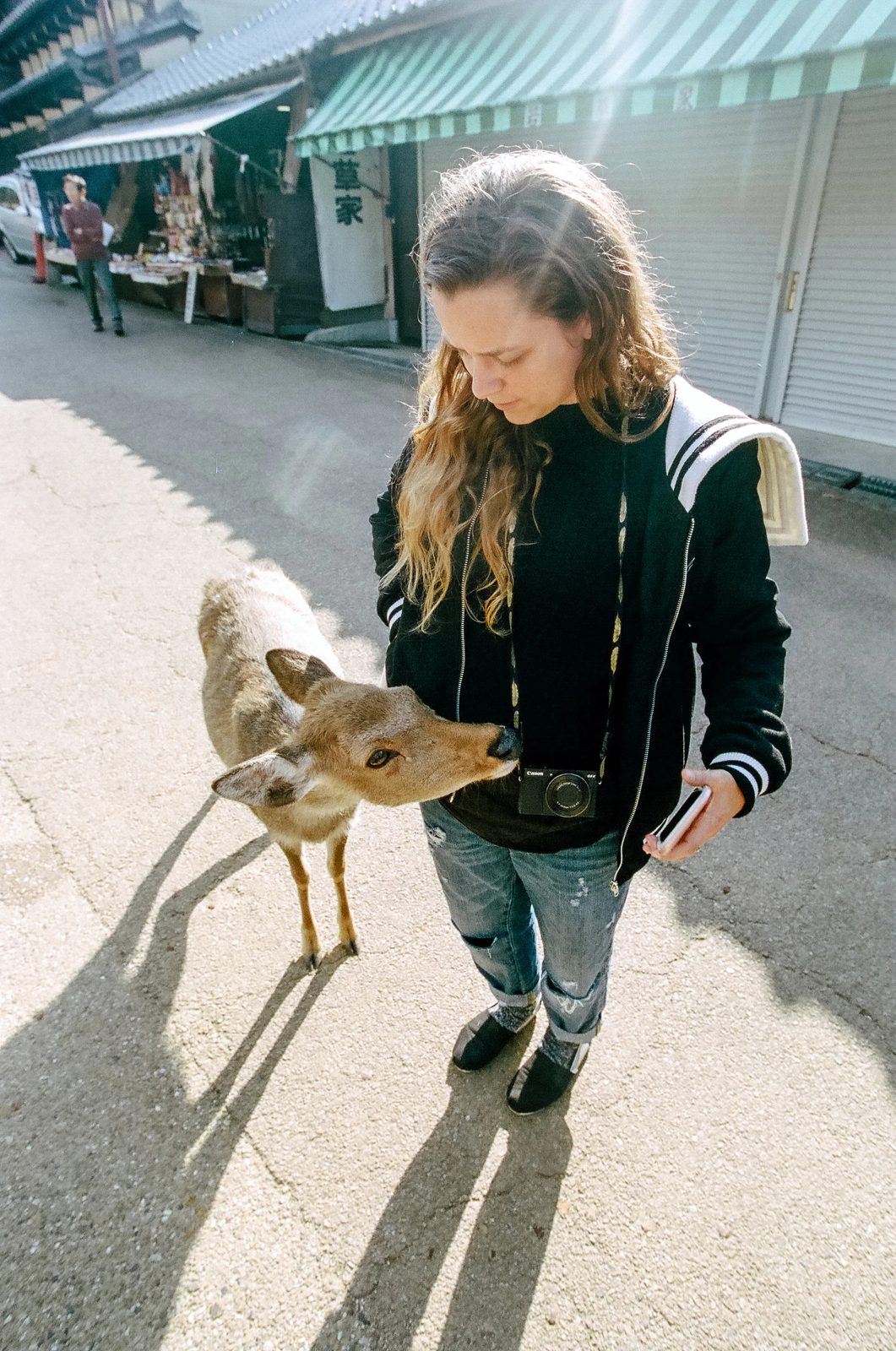 Nara — photo 9