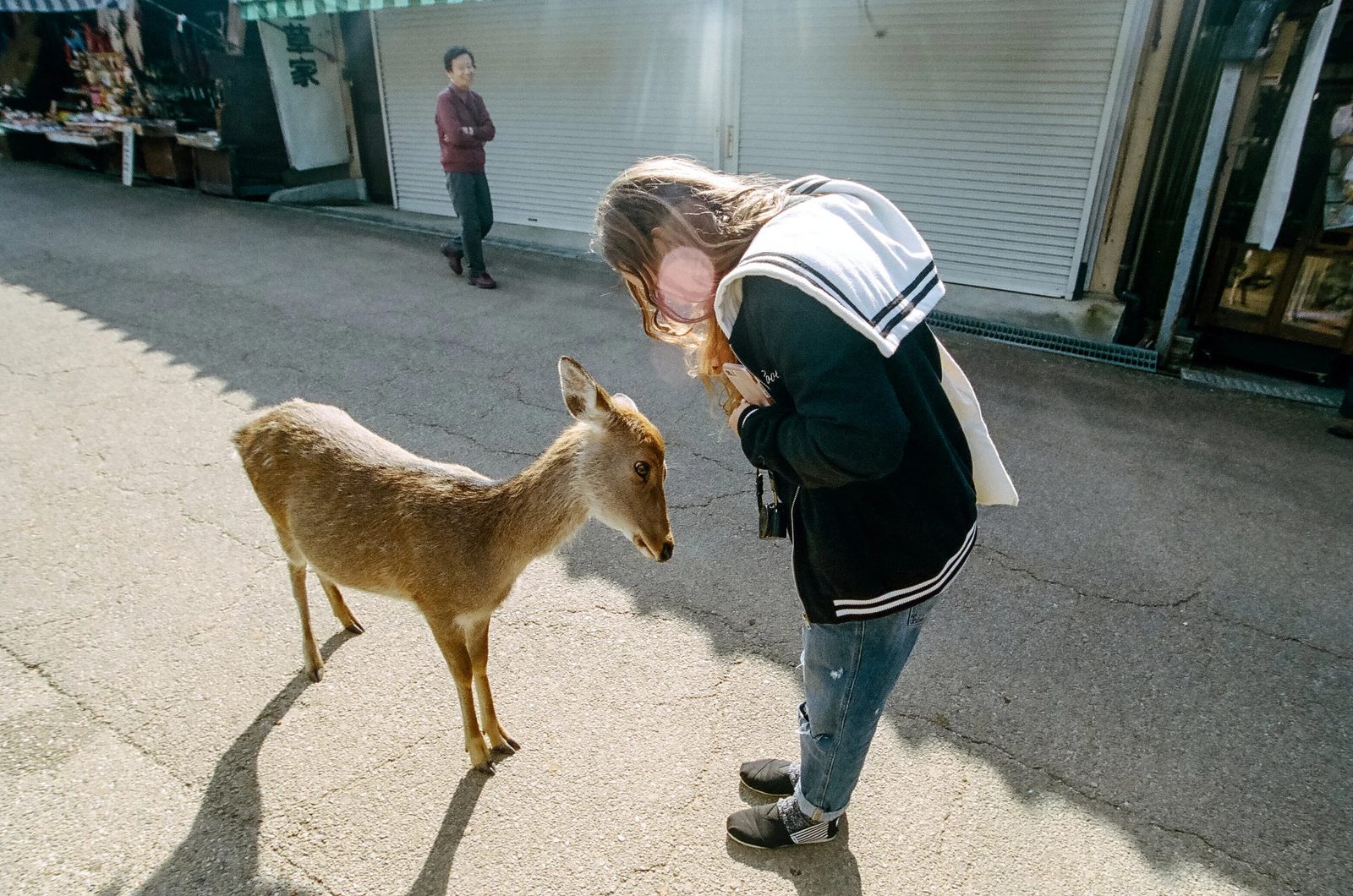 Nara — photo 1
