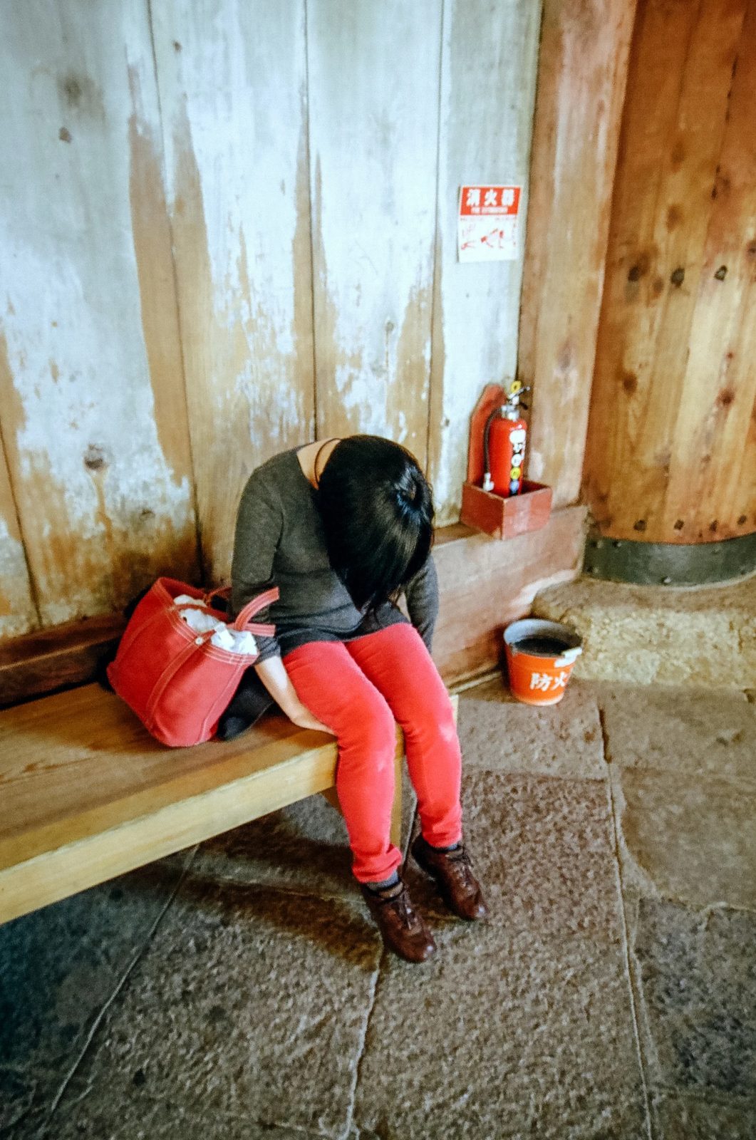 Nara — photo 13