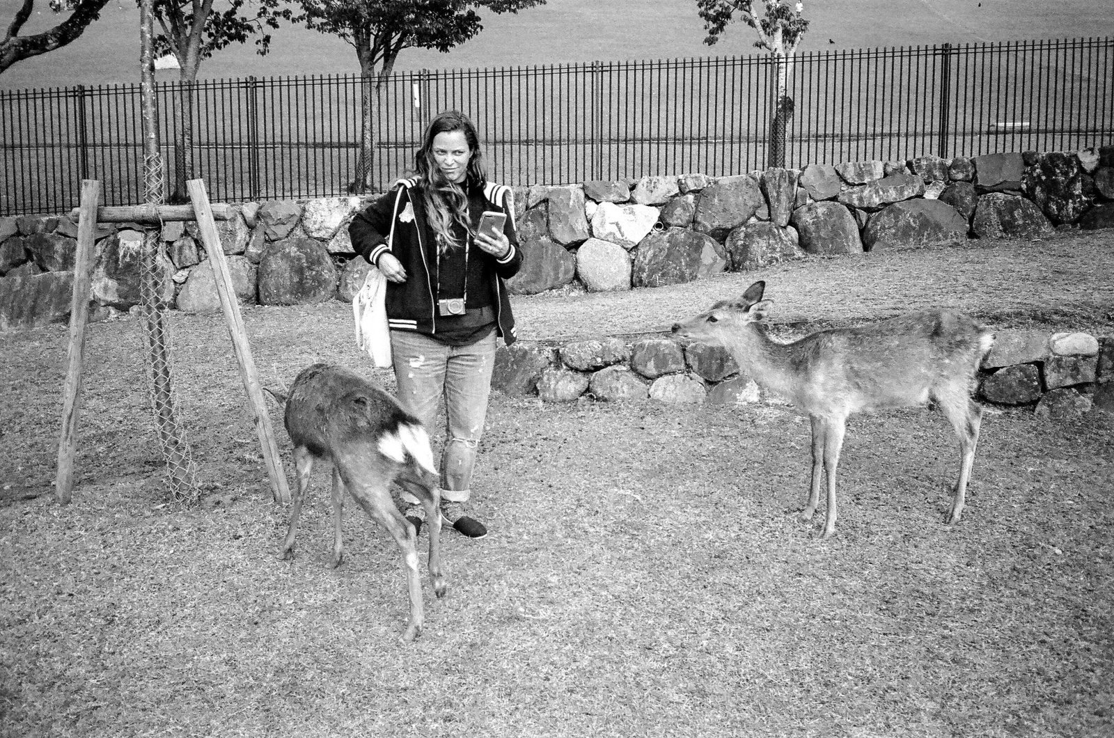 Nara — photo 6