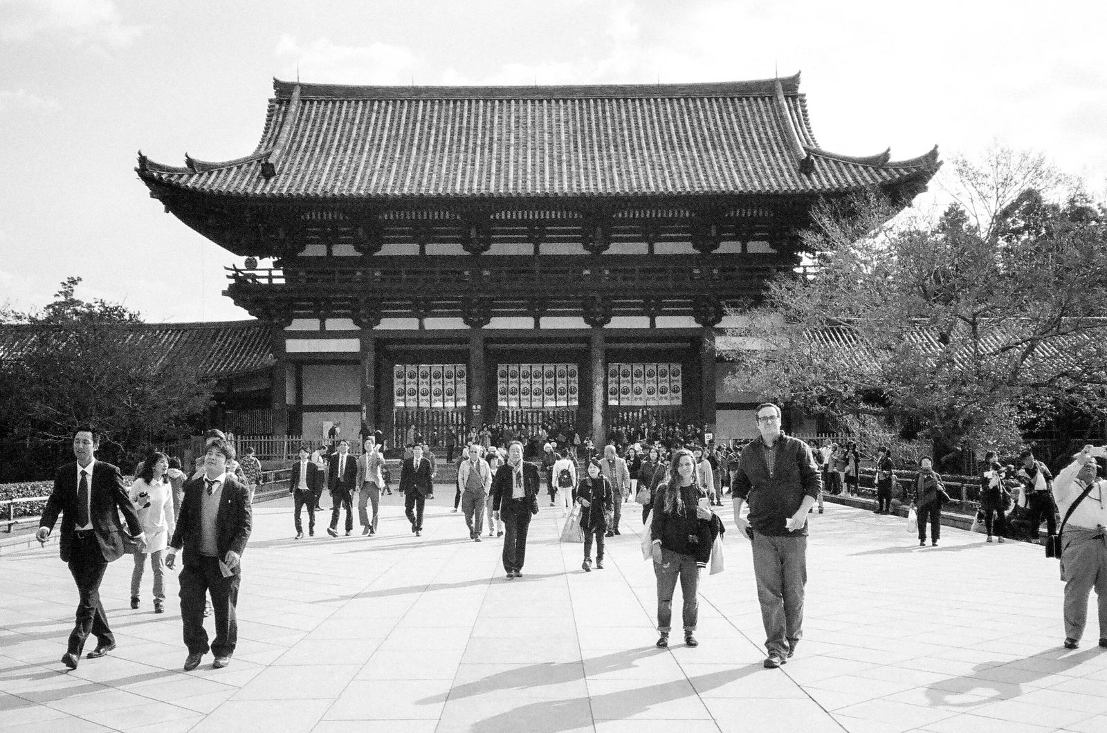 Nara — photo 15