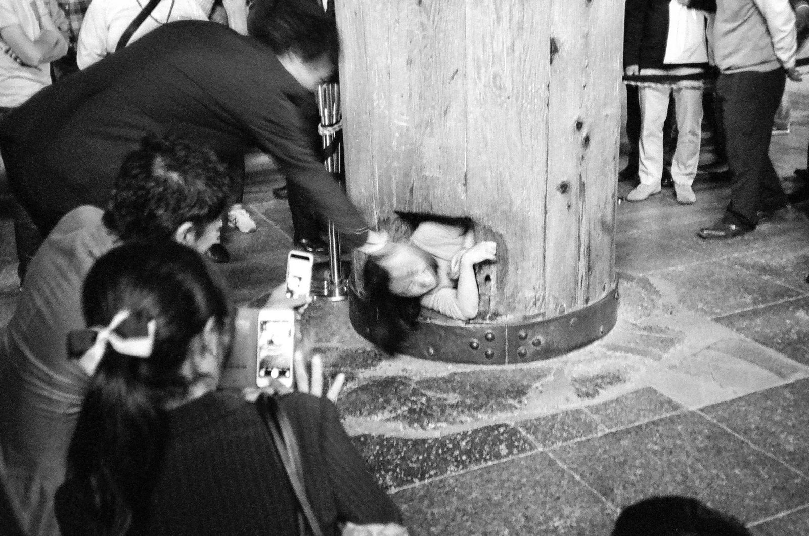 Nara — photo 16