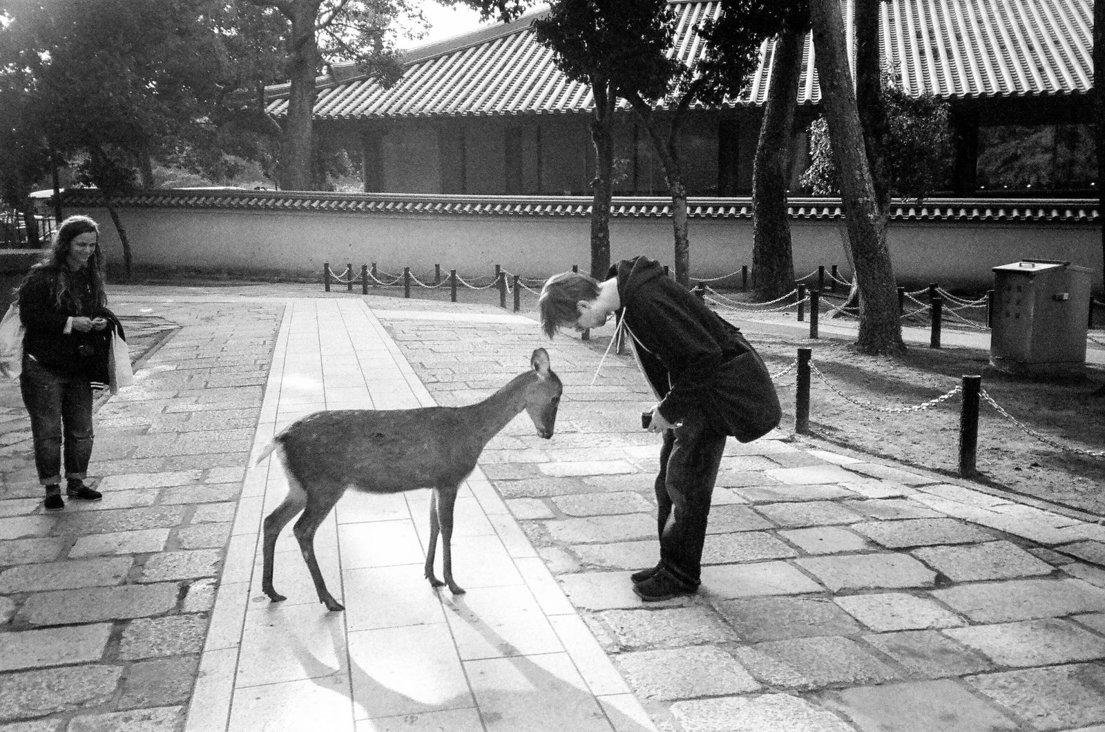 Nara — photo 17