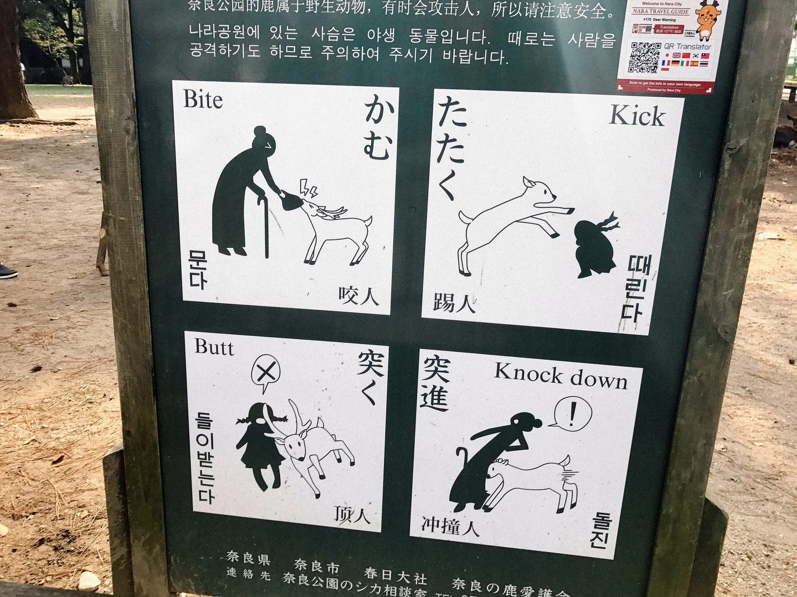 Nara — photo 2