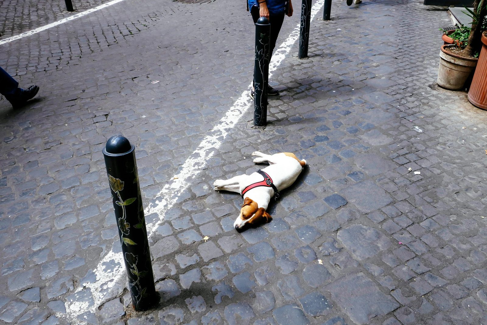 Rome — photo 12