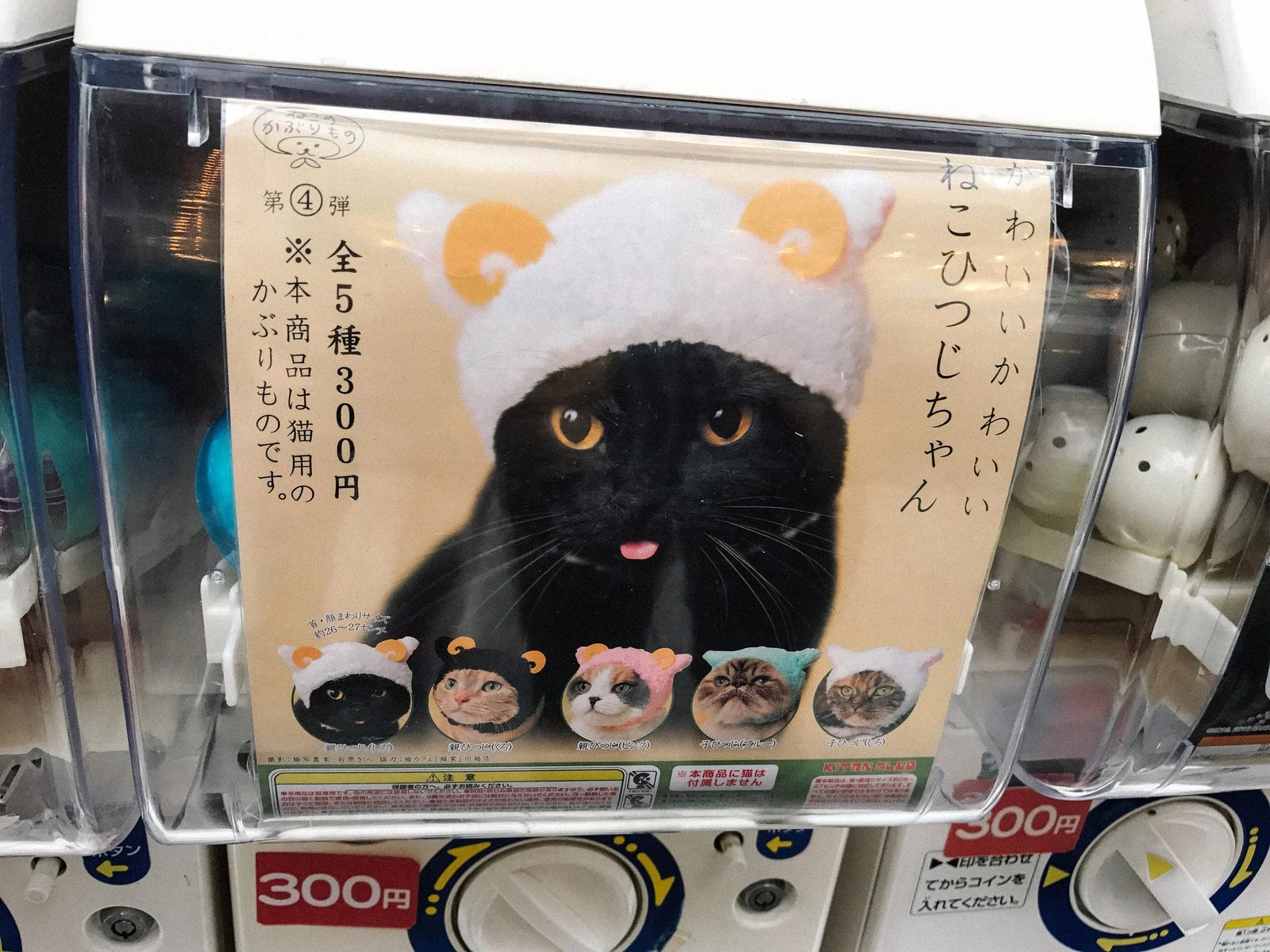 Tokyo — photo 53