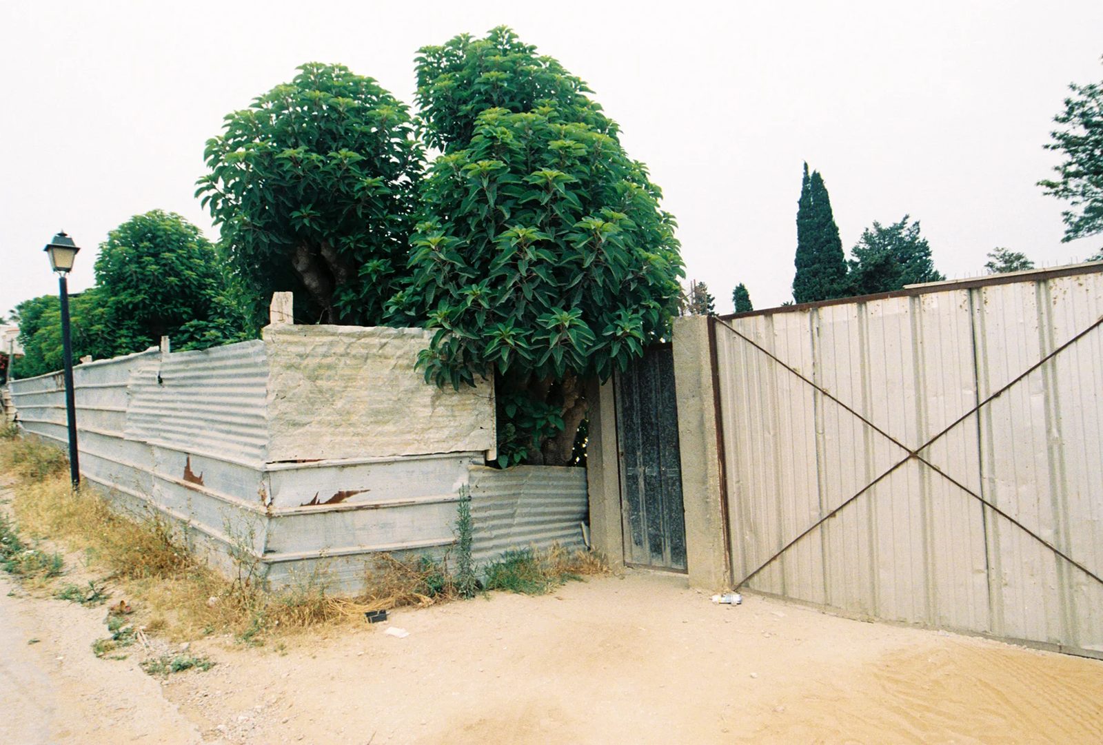 Tunisia — photo 7