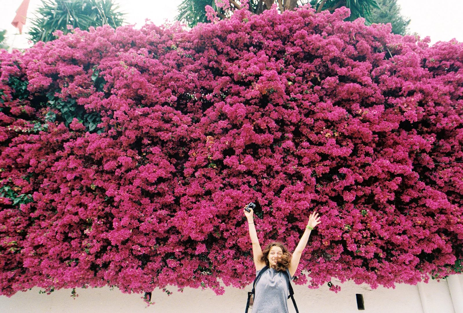 Tunisia — photo 8
