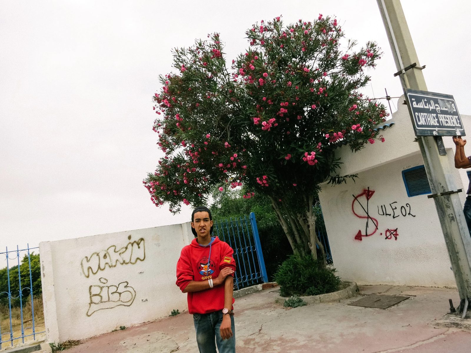 Tunisia — photo 6