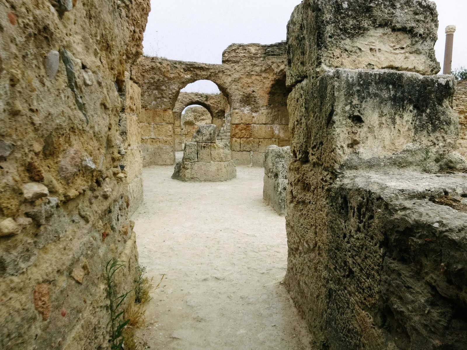 Tunisia — photo 15