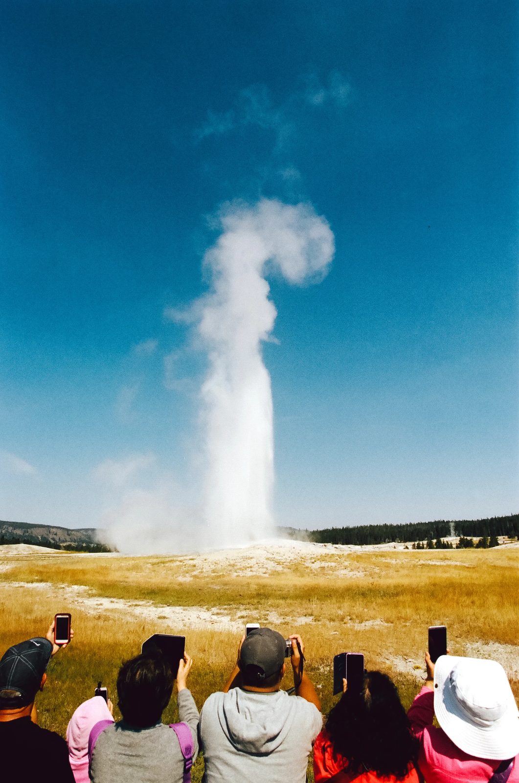 Yellowstone — photo 1