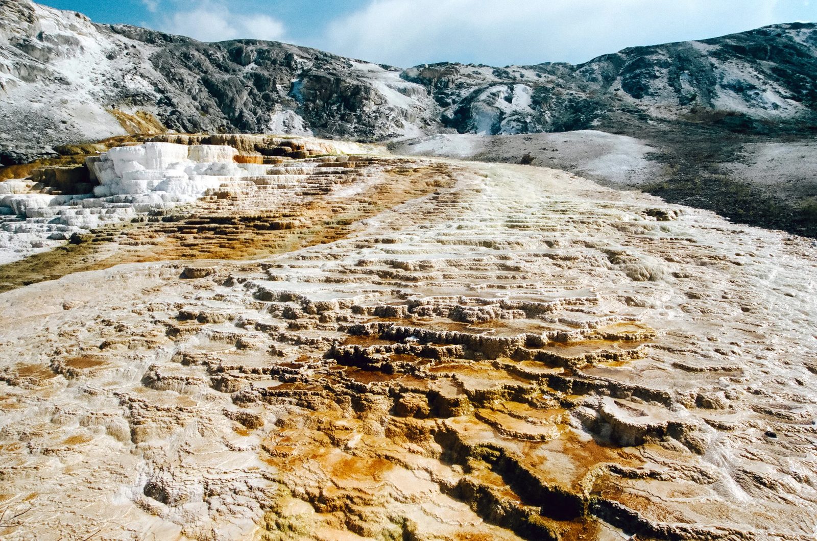 Yellowstone — photo 14