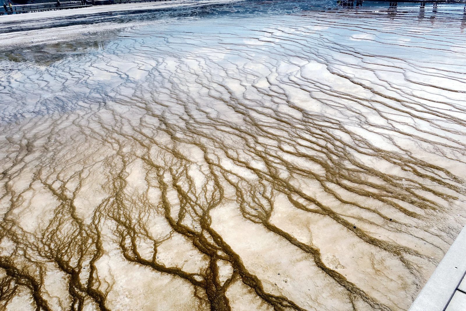 Yellowstone — photo 12