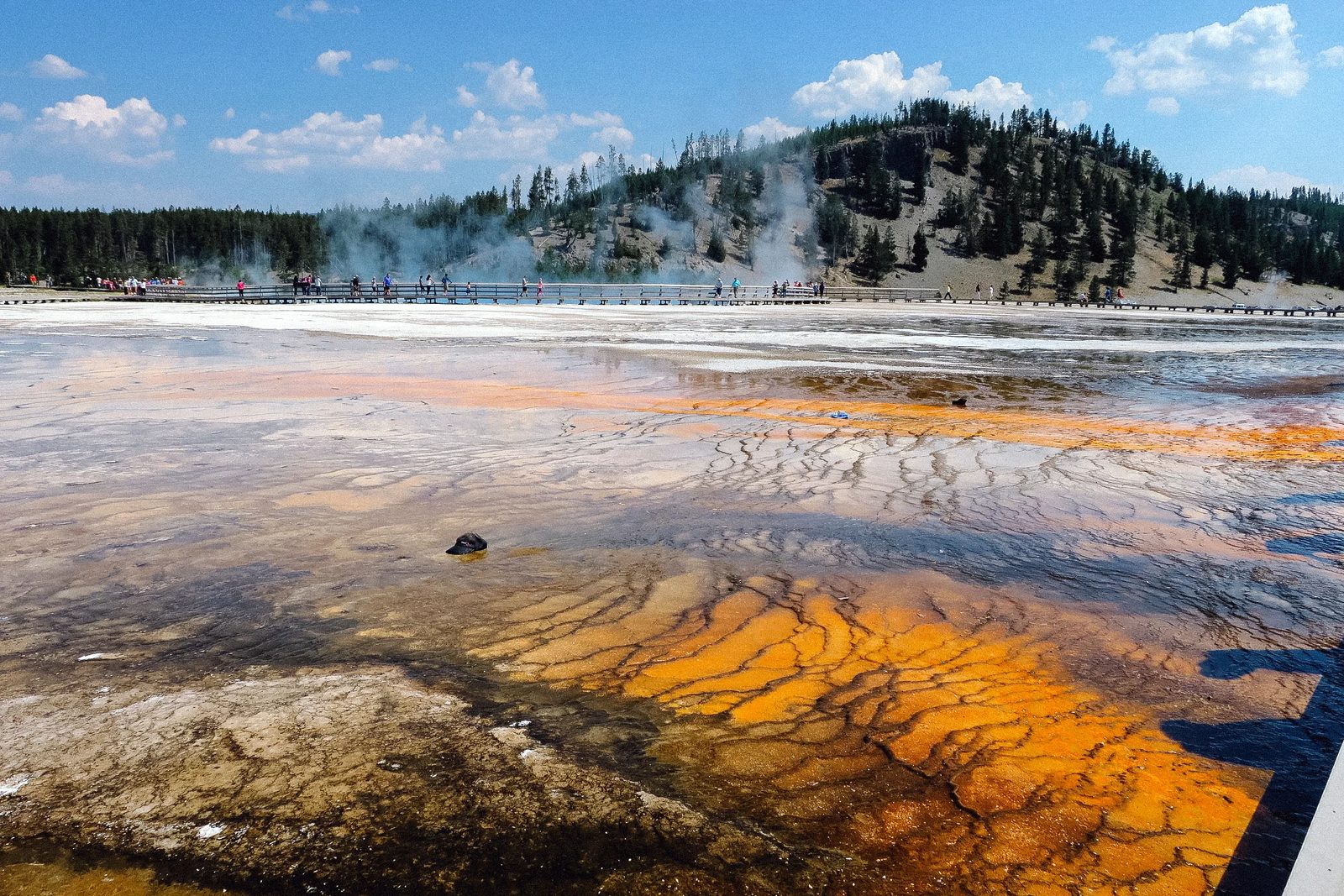 Yellowstone — photo 10
