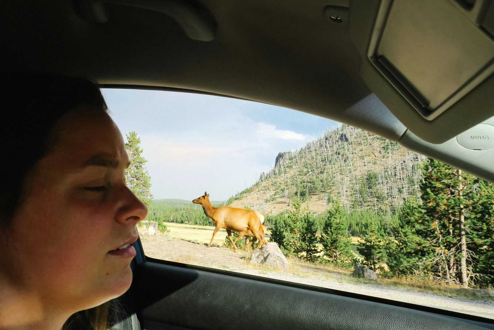 Yellowstone — photo 6