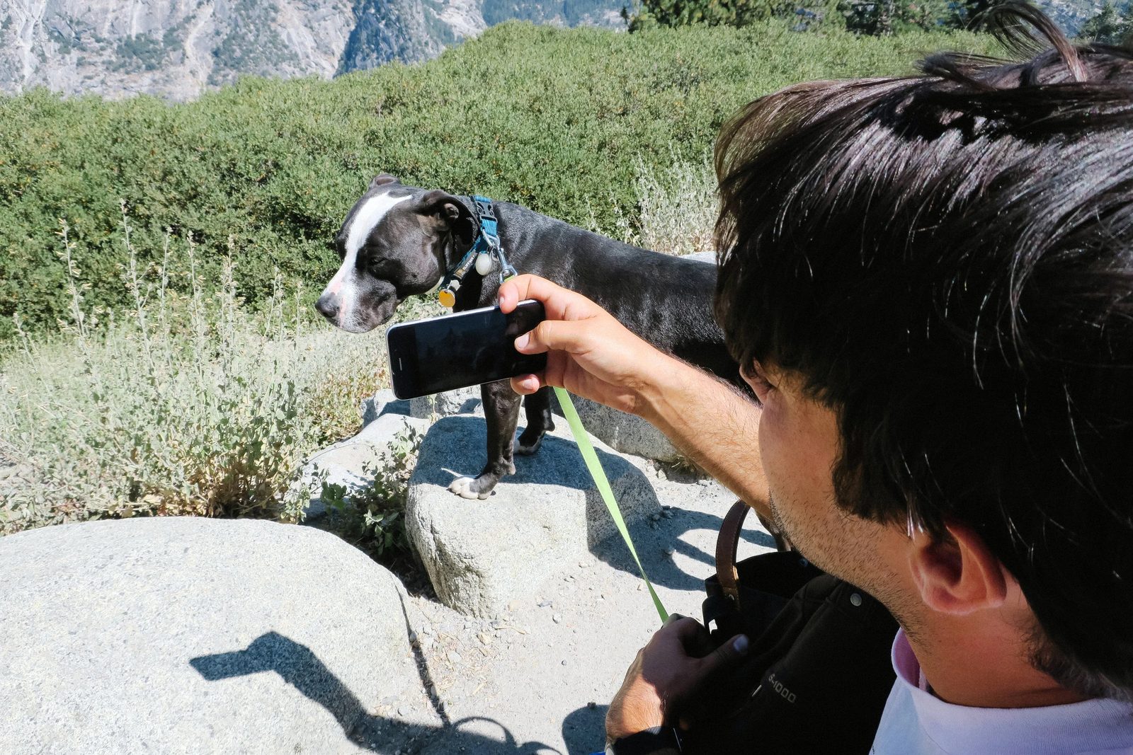 Yosemite — photo 17