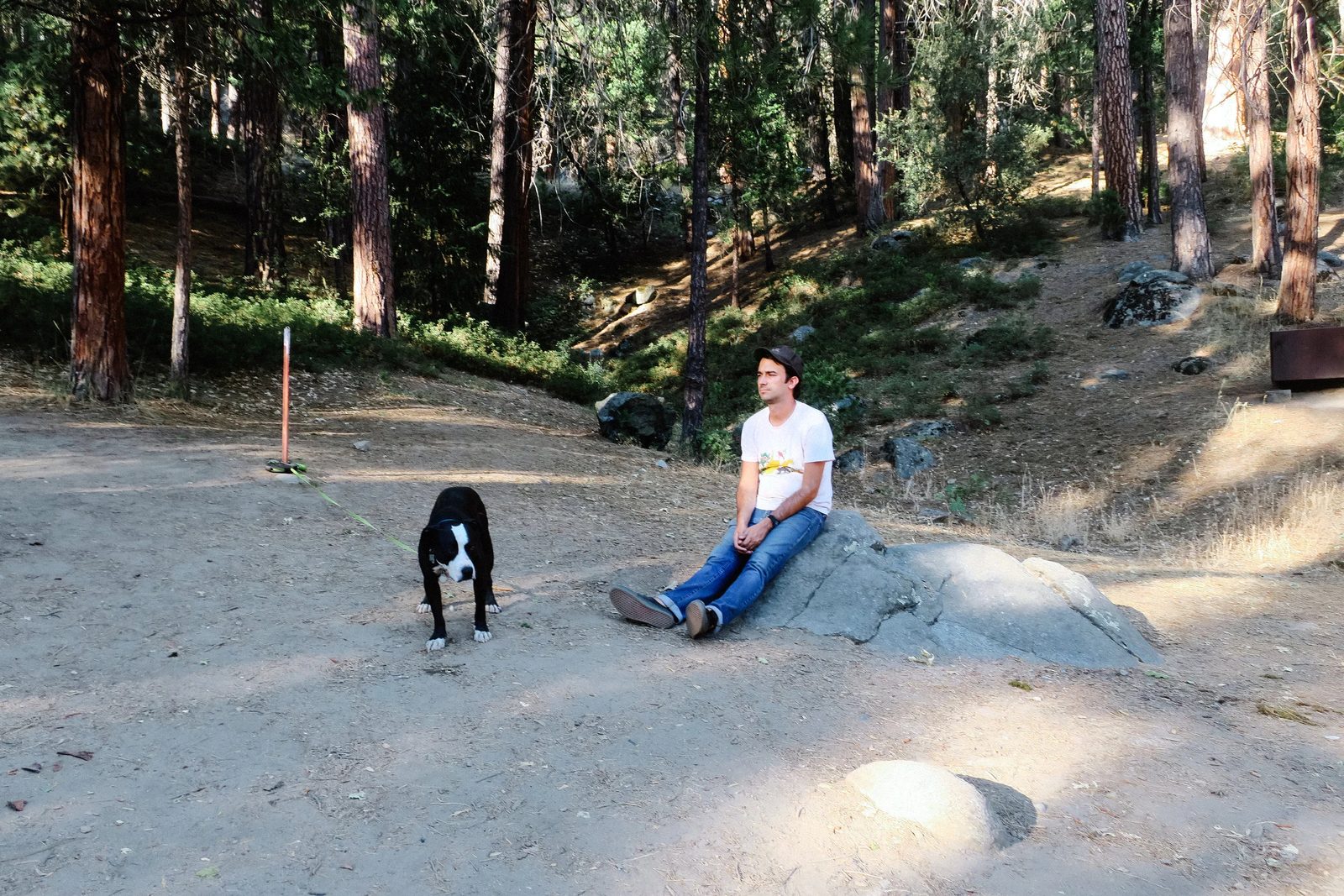 Yosemite — photo 13