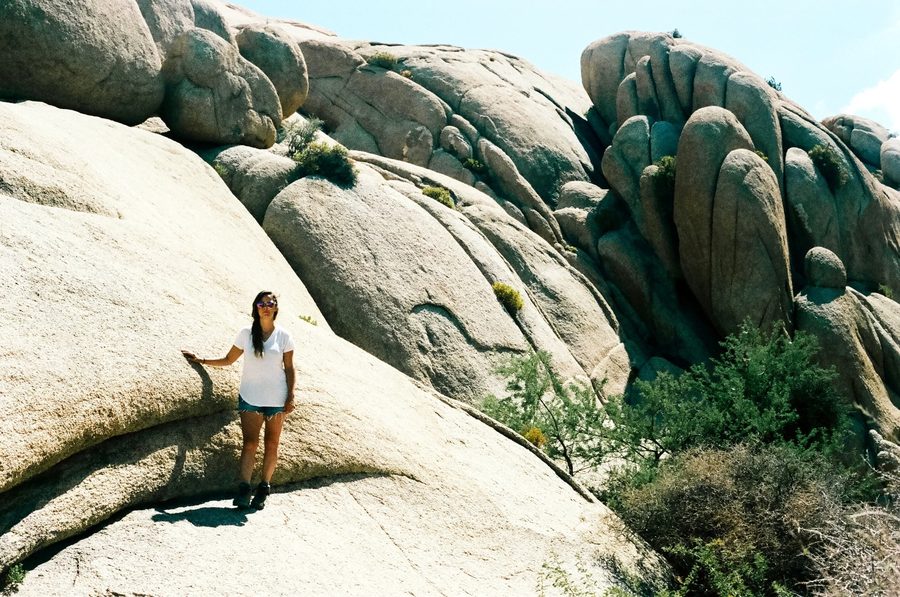 Joshua Tree