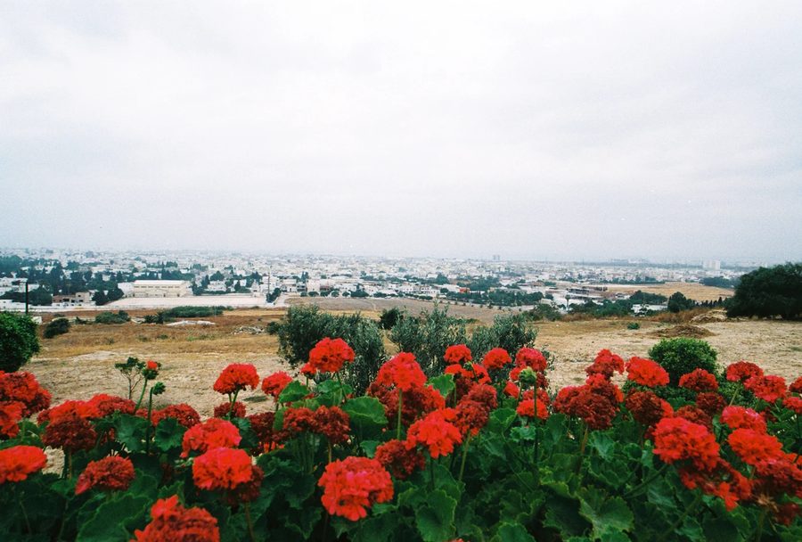 Tunisia